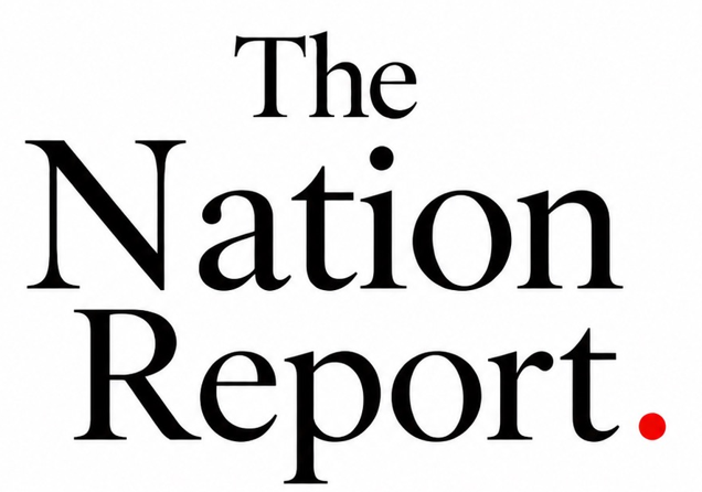 The Nation Report logo